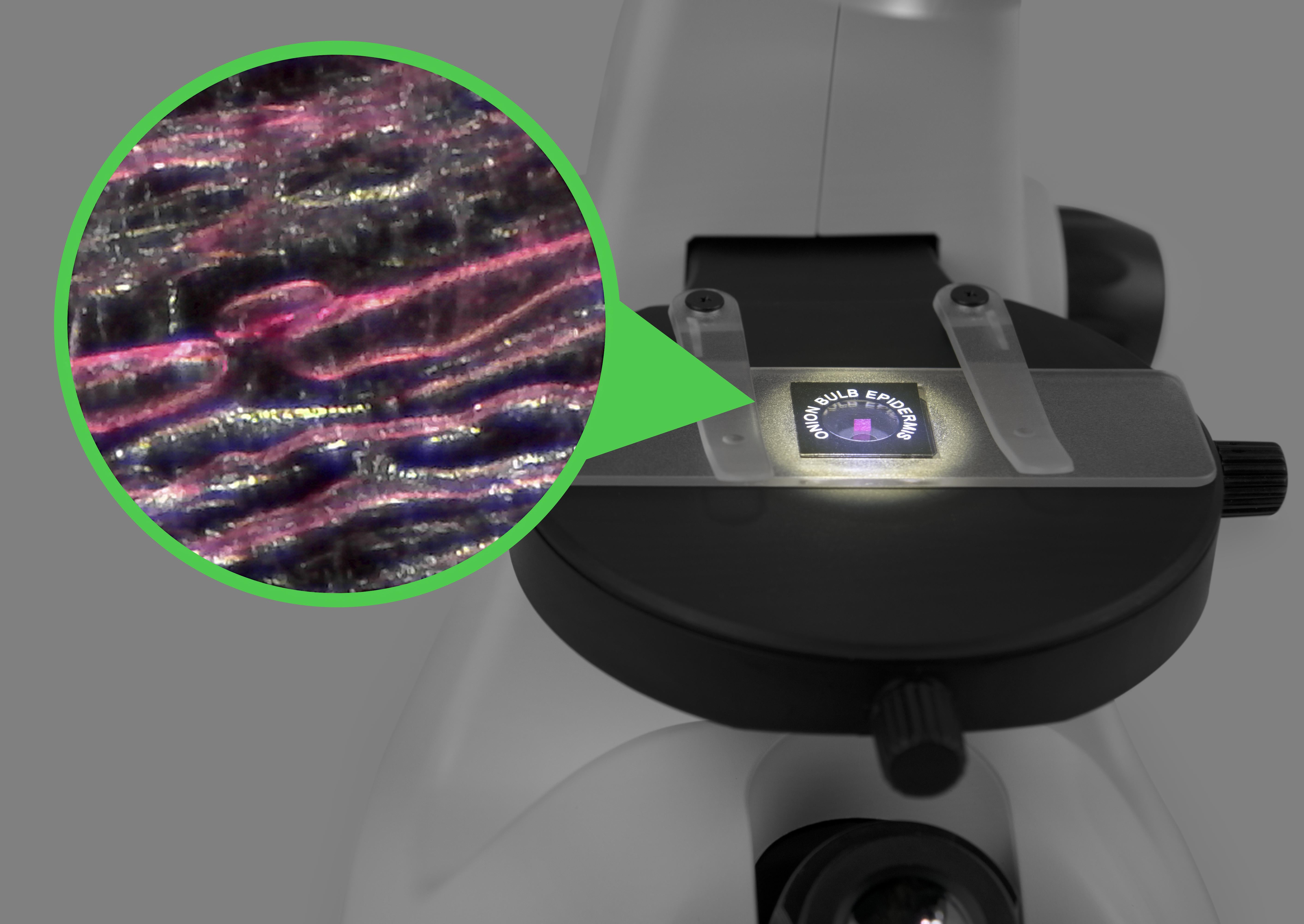 plugable-800x-inverted-digital-optical-usb-microscope image 3