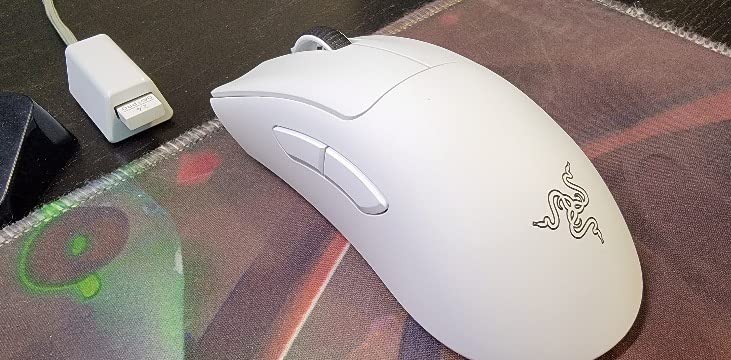 Endgame mouse