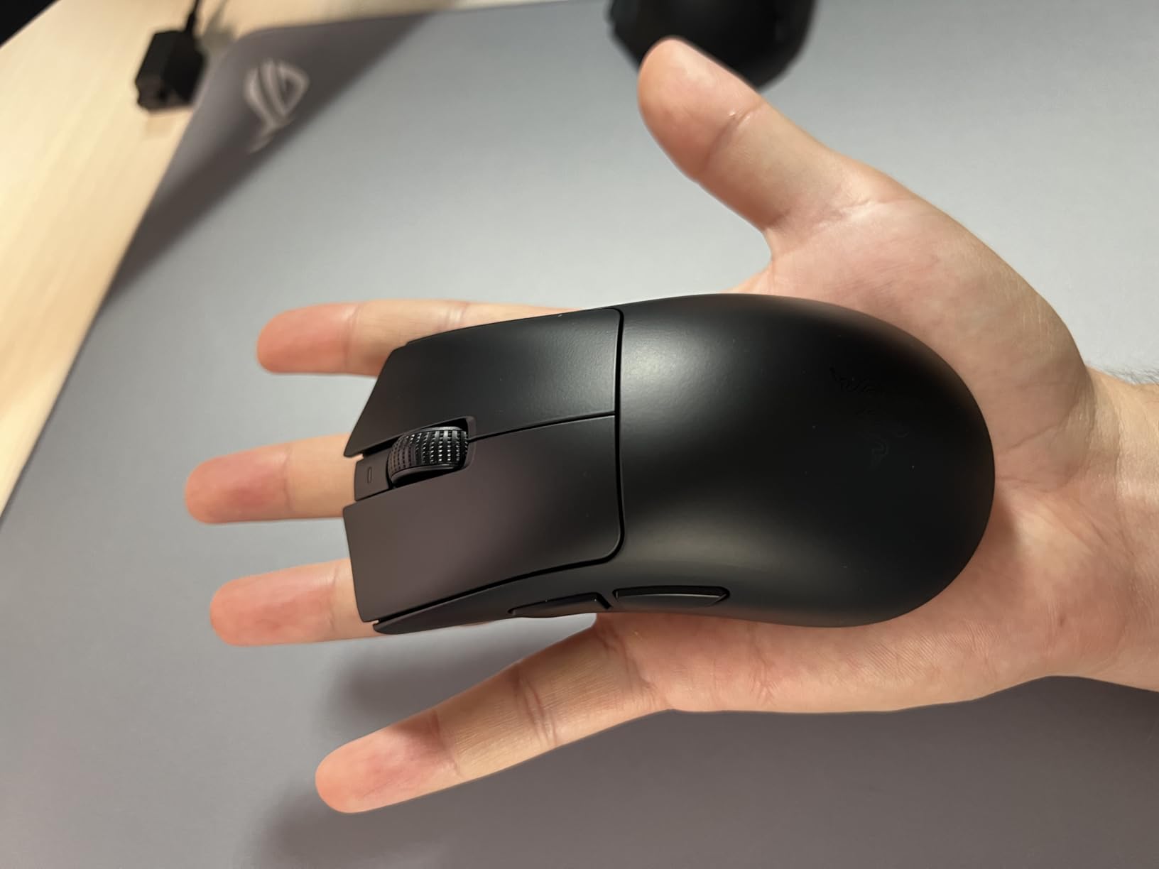 Endgame mouse