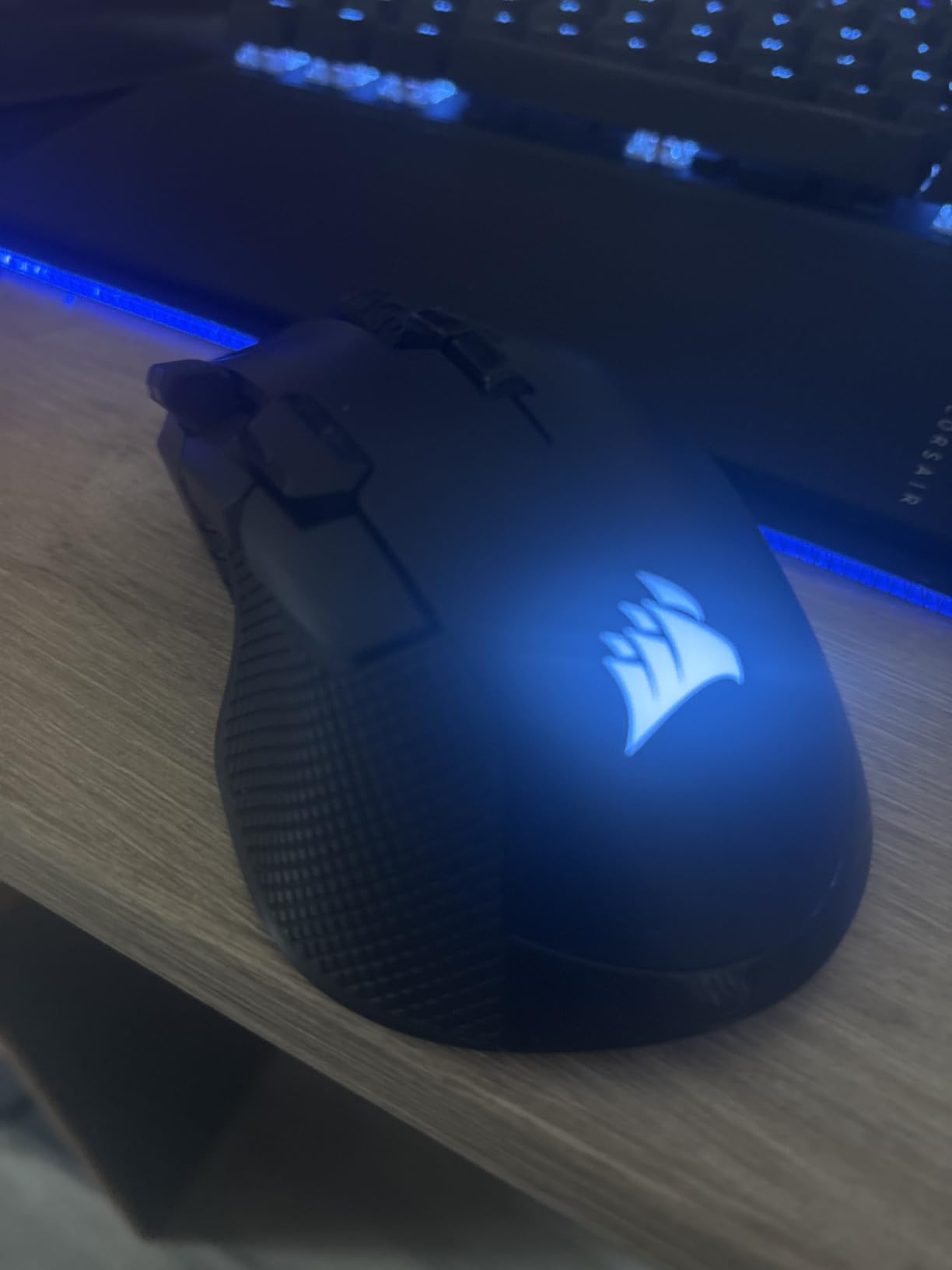 Finally, a mouse for big hands!