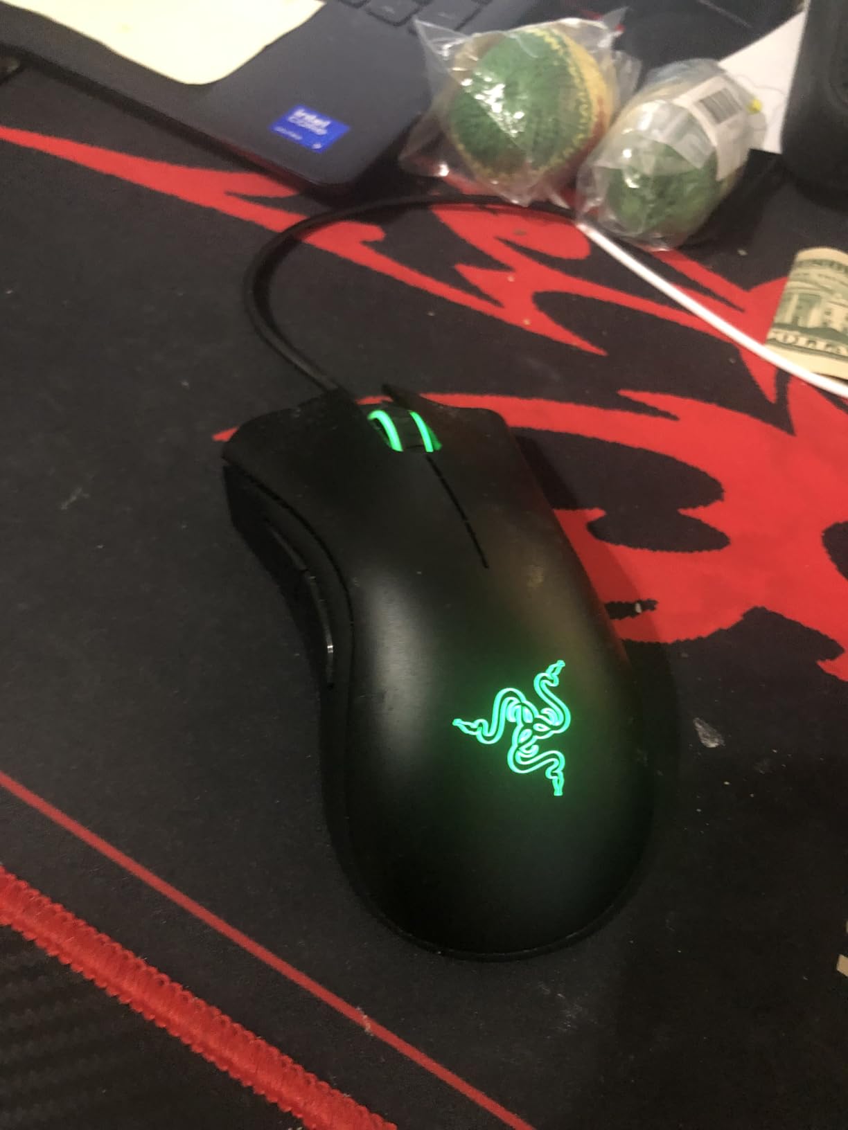Great mouse