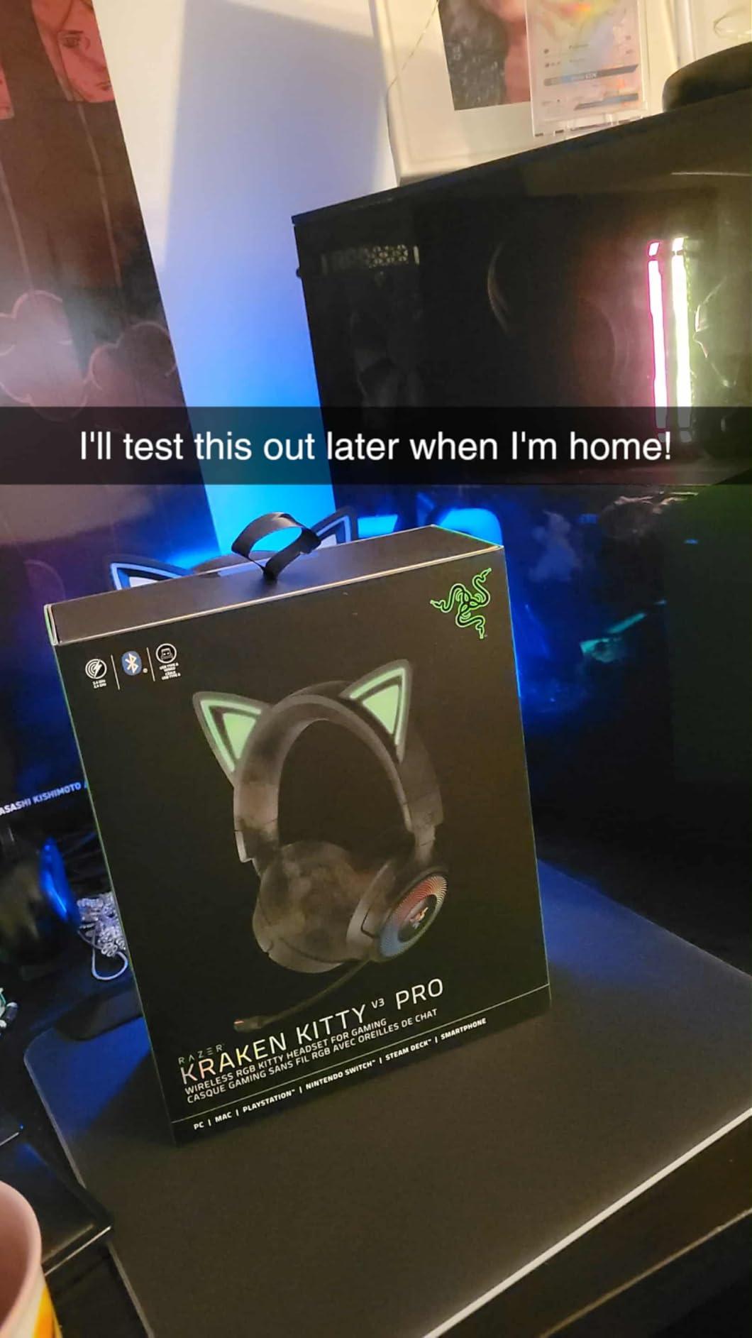 Disappointed with the mic quality