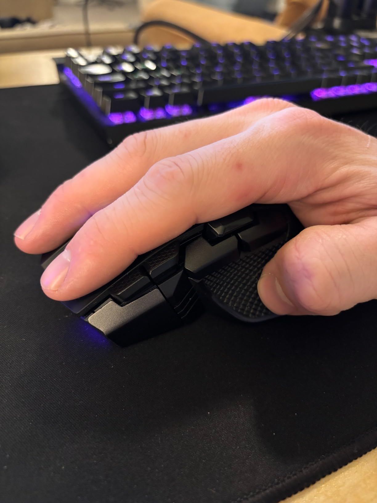 Great mouse