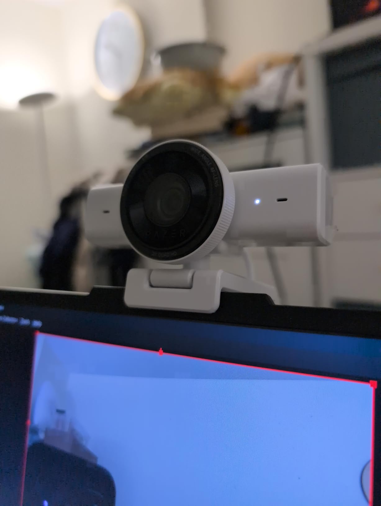 Autofocus hunts