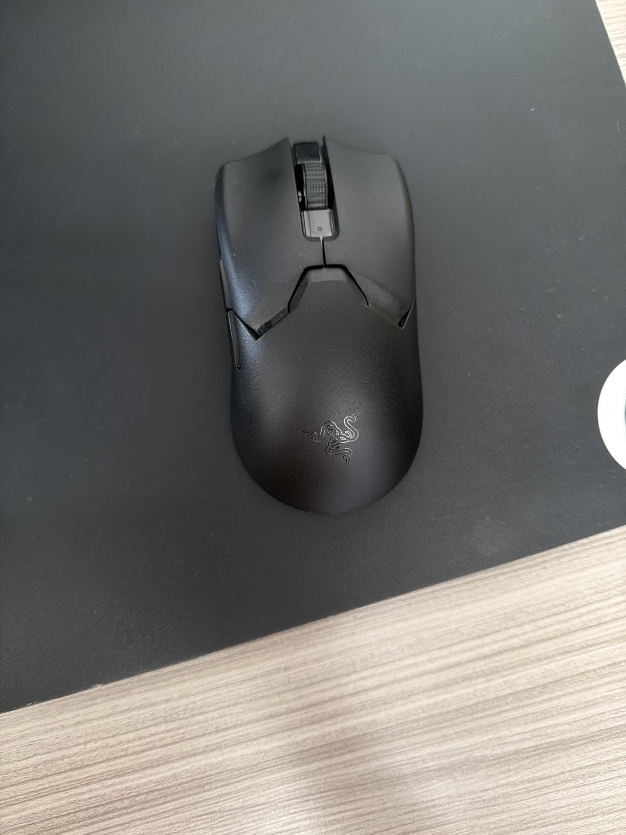 My new main mouse