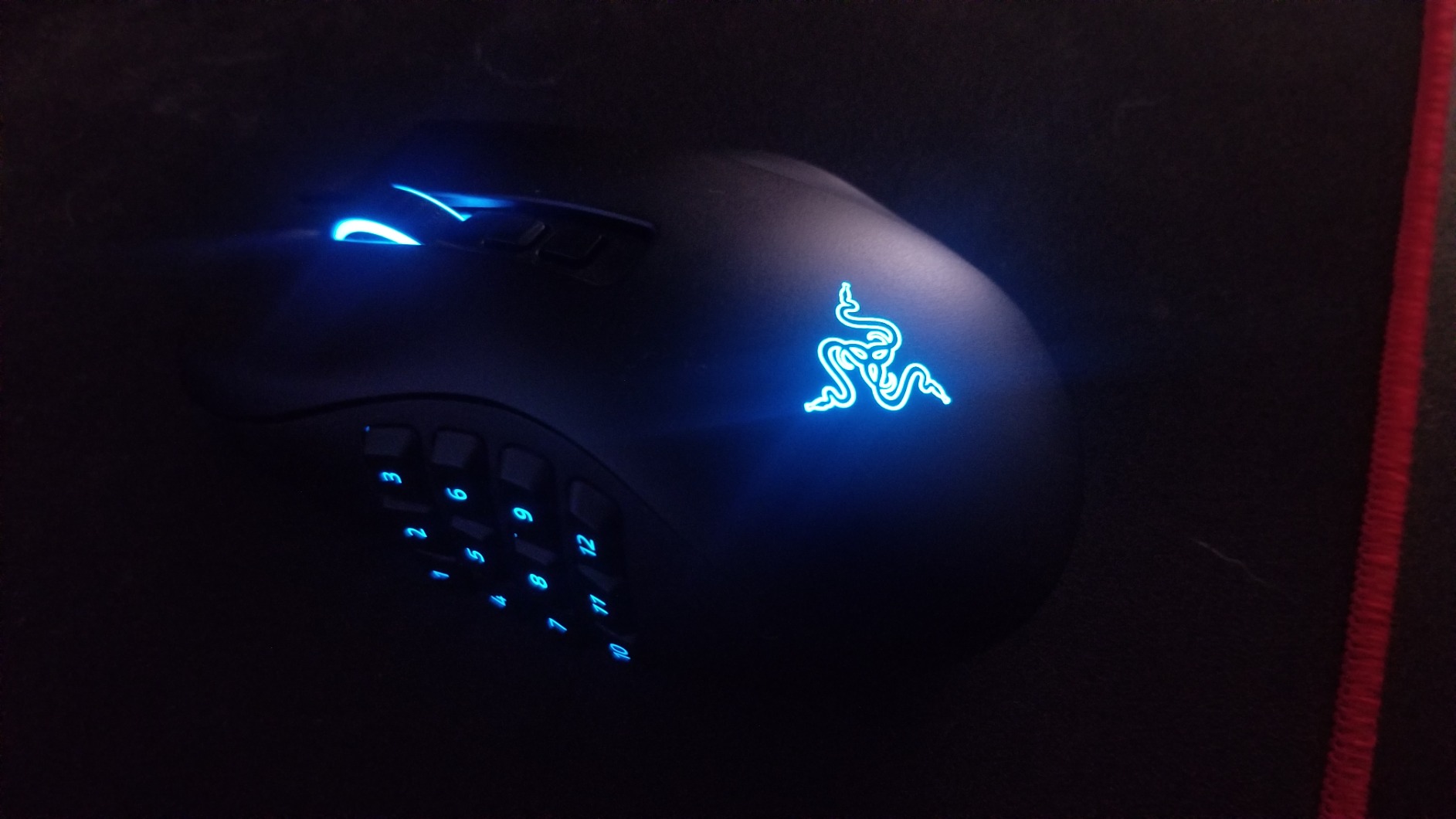 Versatile mouse
