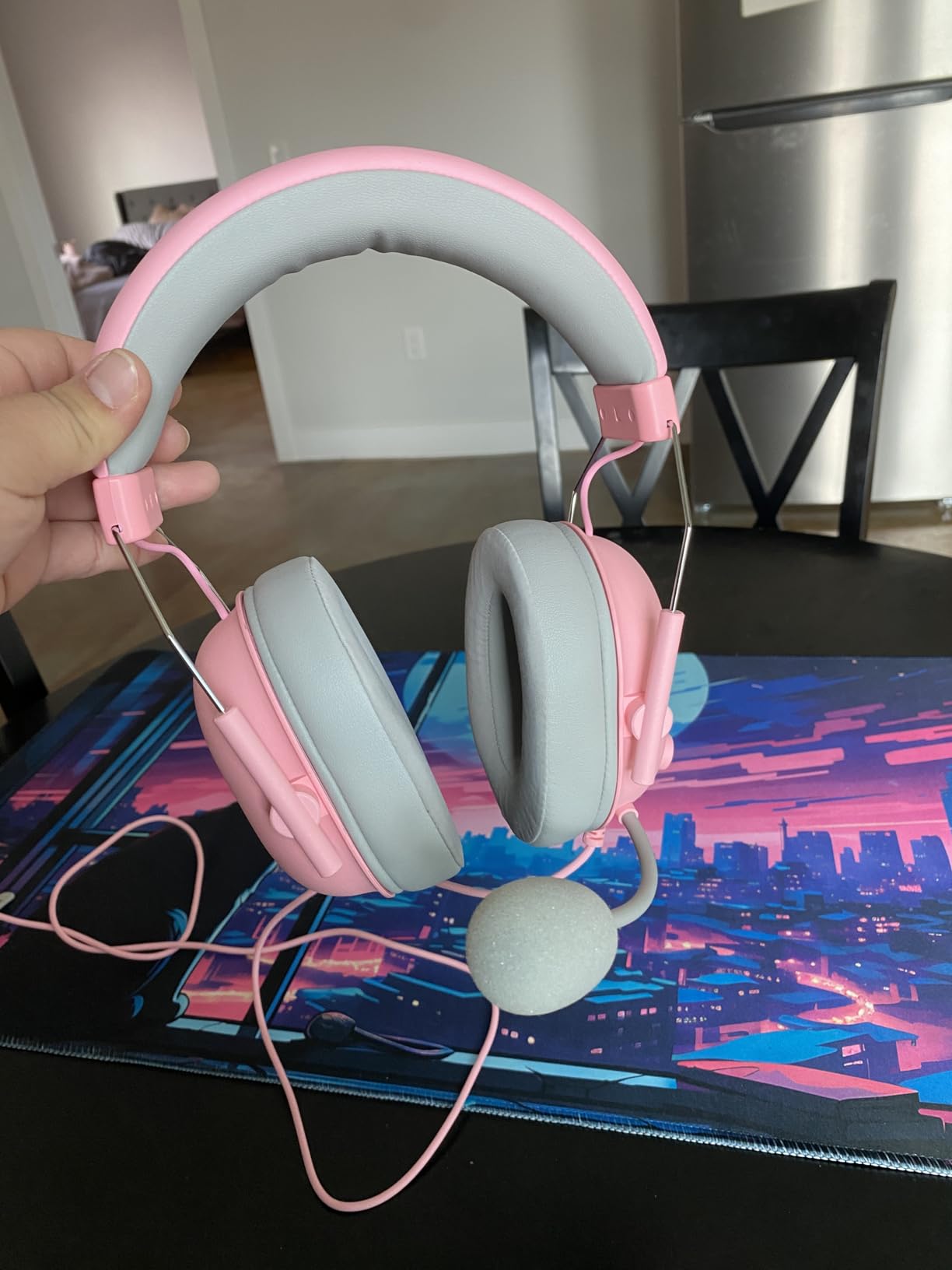 Good audio, but mic could be better