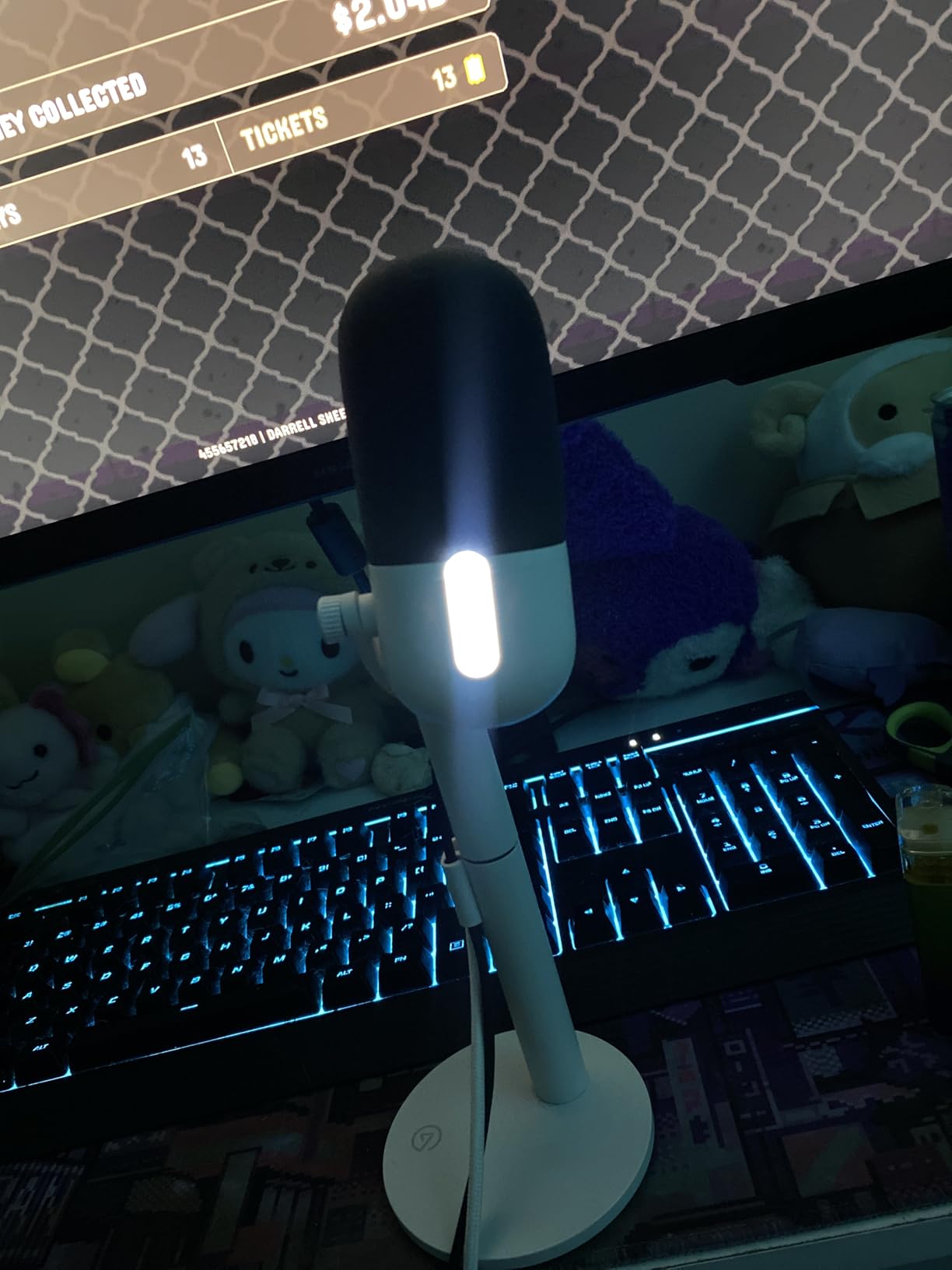 Good mic for the price
