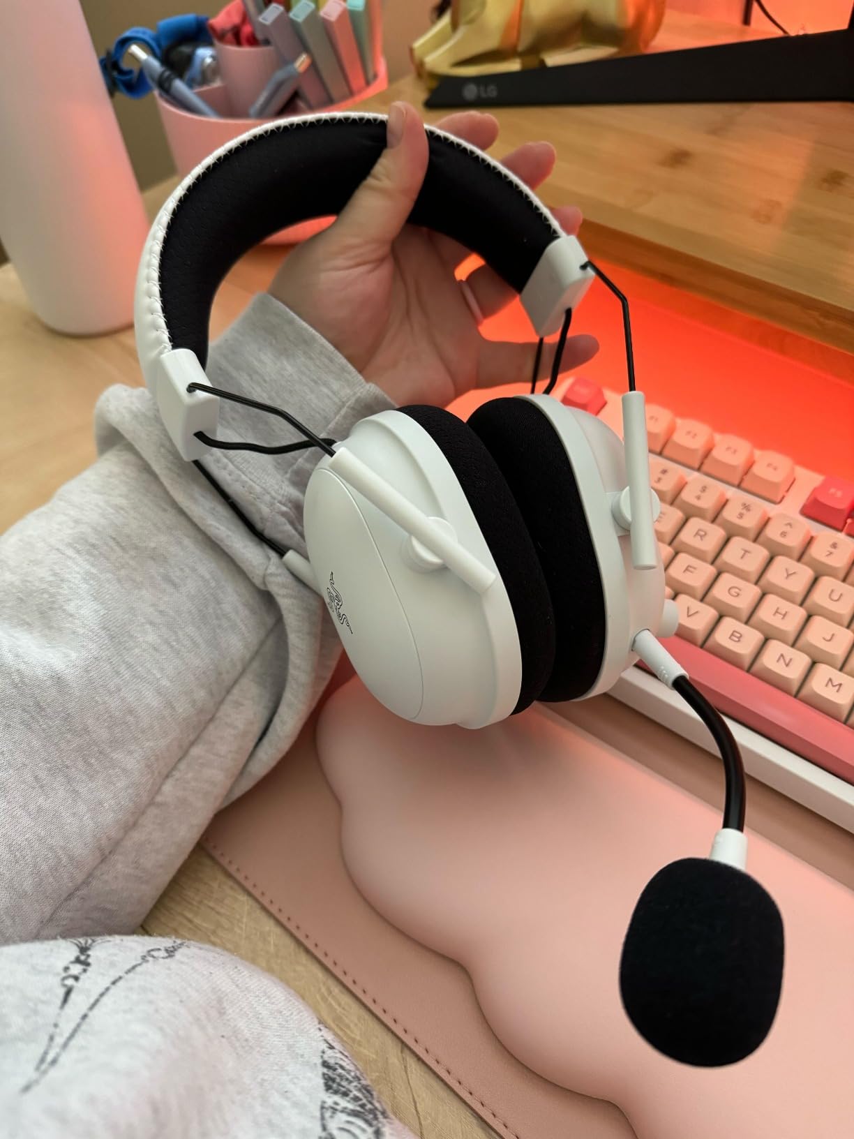Great headset, but software can be finicky