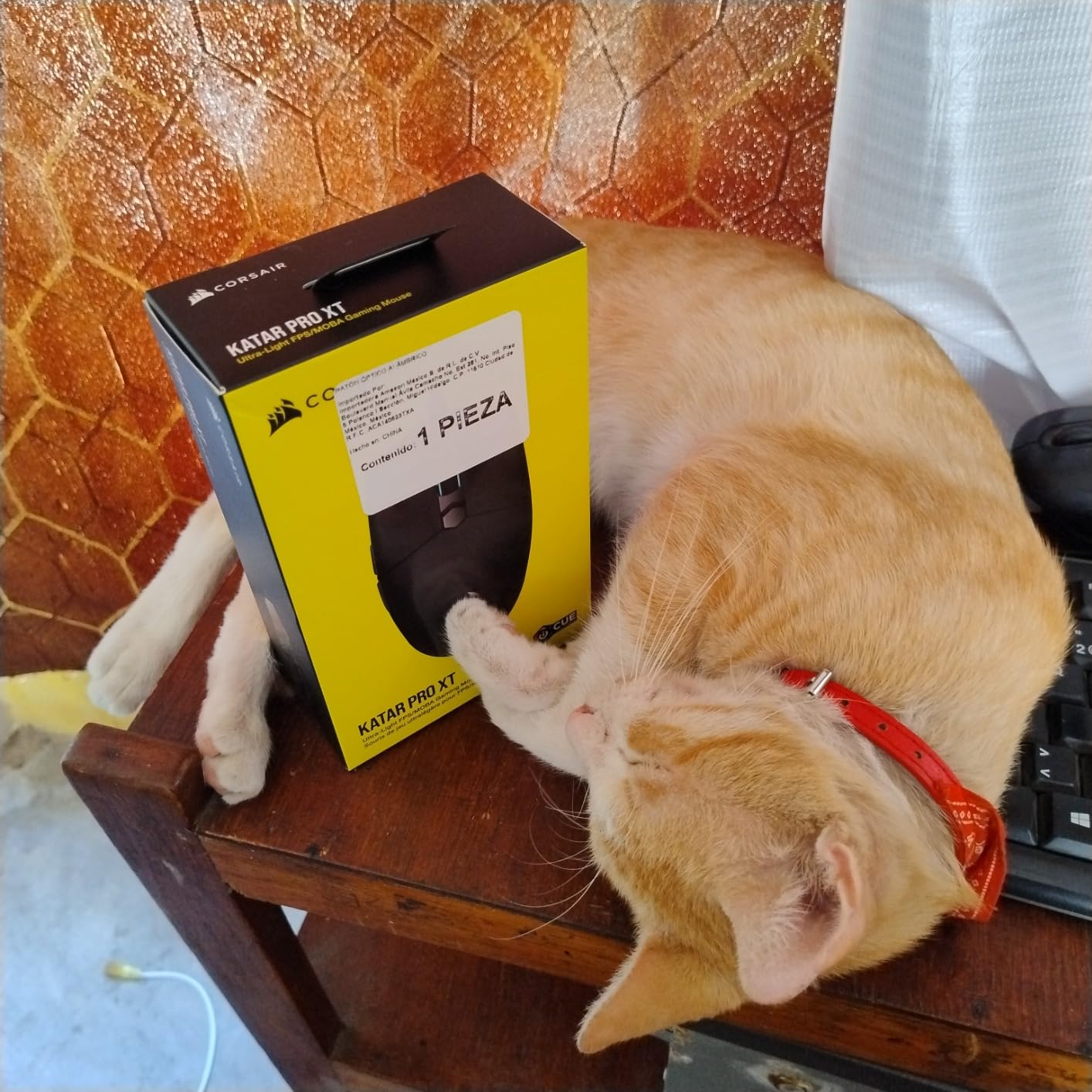 Great value, but cable could be better