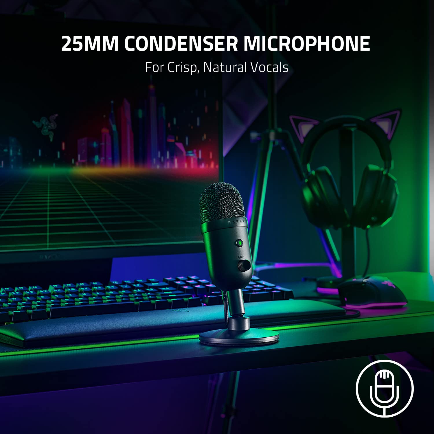 razer-seiren-v2-x-usb-condenser-microphone-for-streaming-and-gaming-on-pc image 2