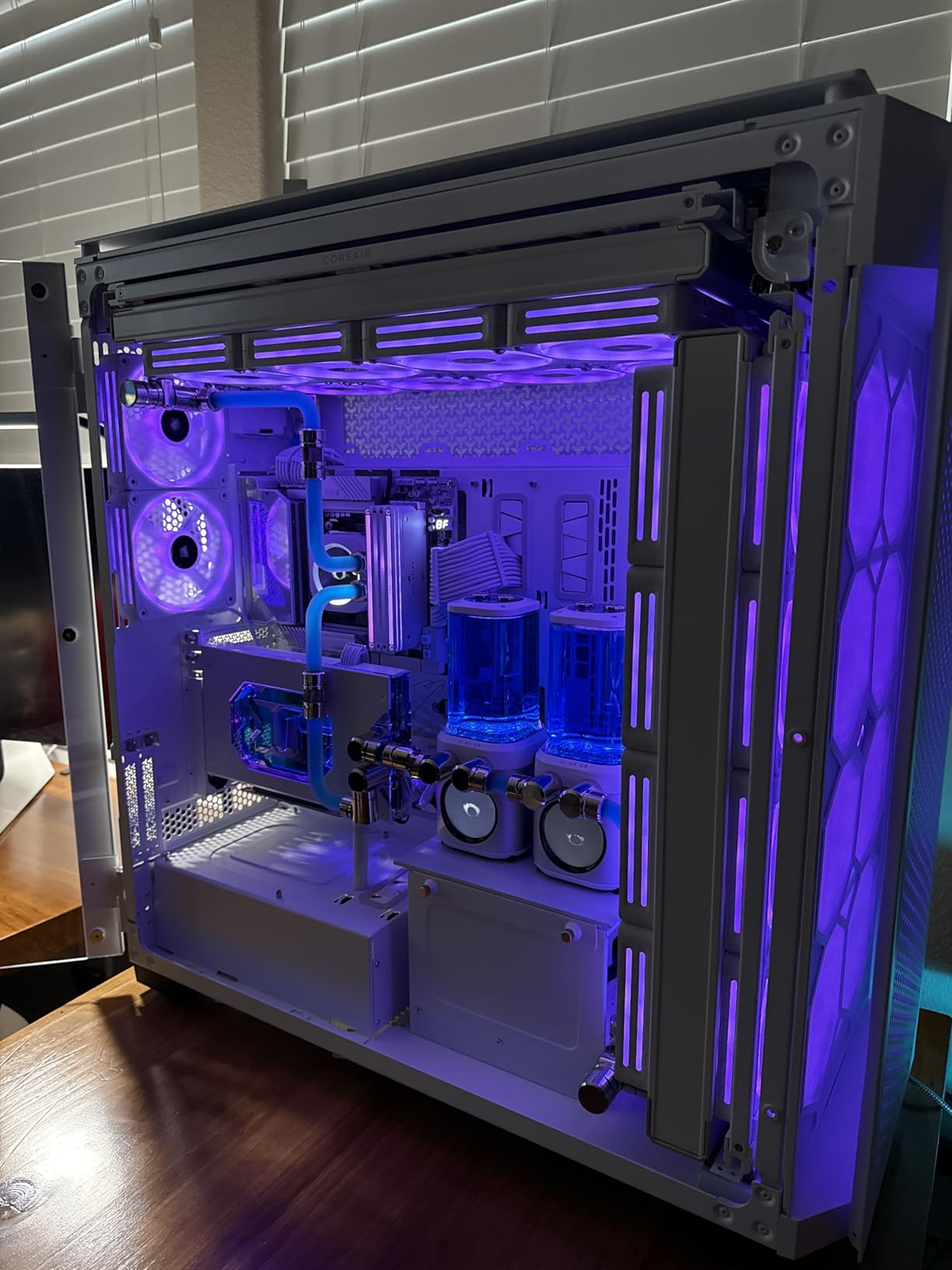Beast of a case