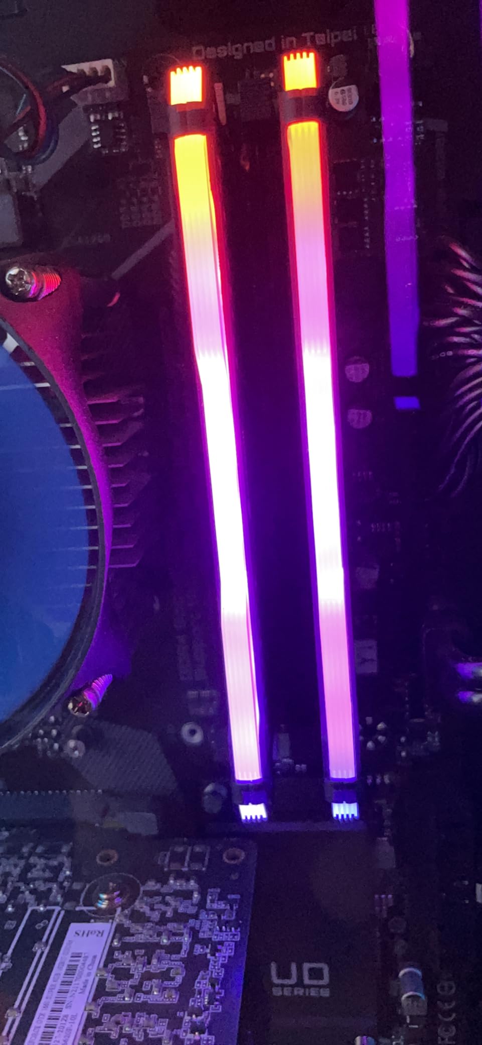Sleek and speedy