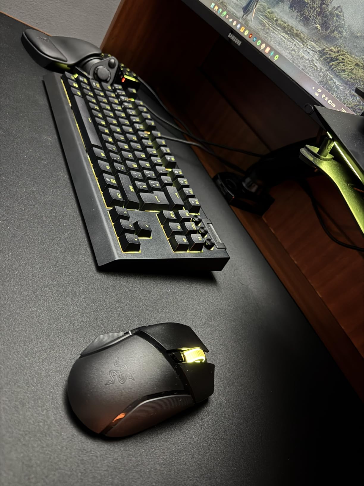 Best mouse I've owned