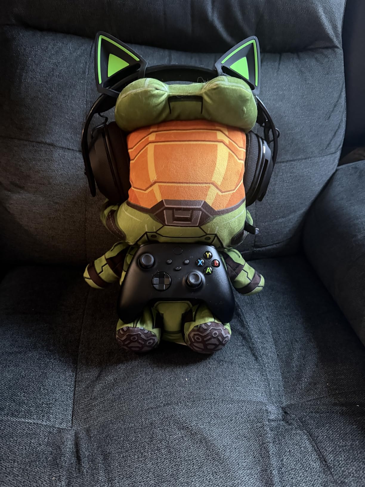 Cute but fragile