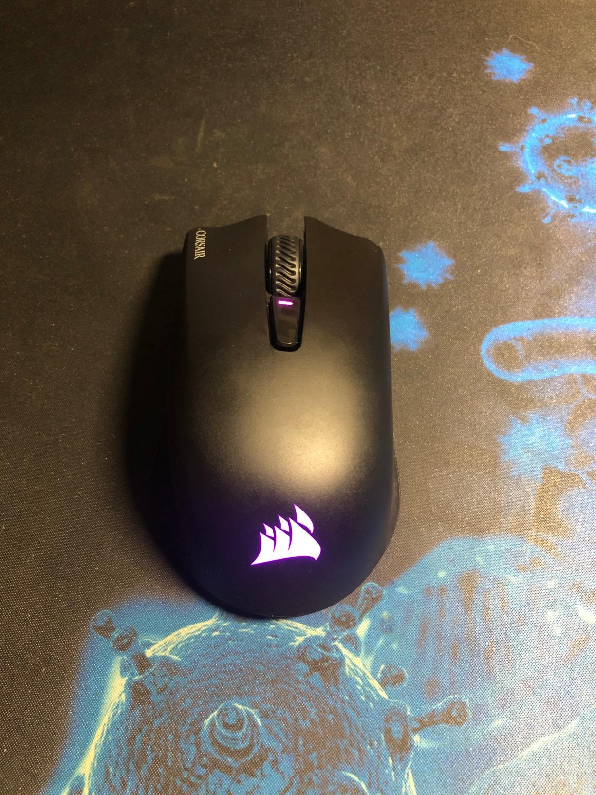 Solid mouse