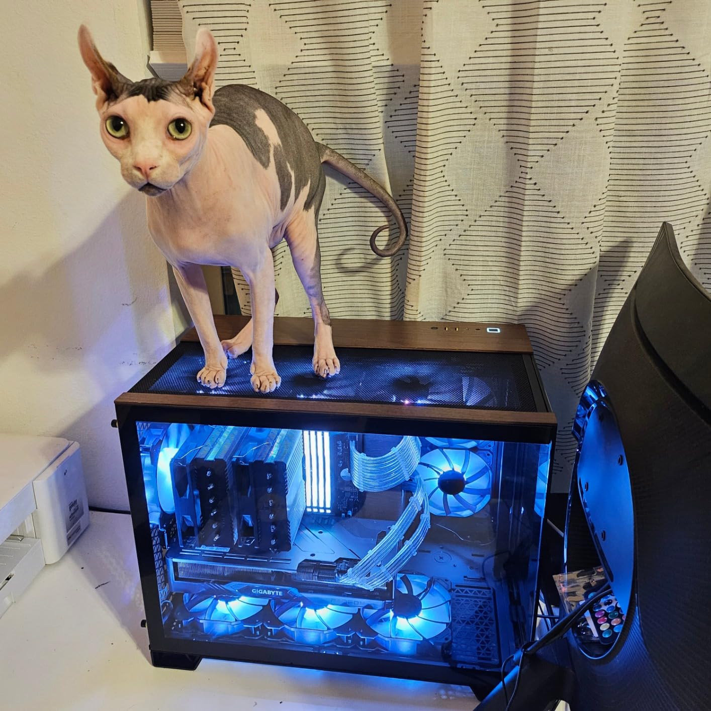 Solid build, awesome looks