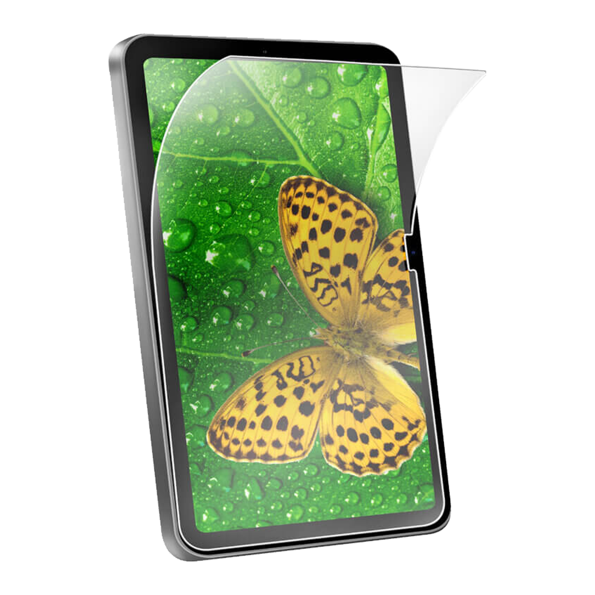 stm-goods-ecoglass-screen-protector-for-ipad-a16-10th-gen-9th-8th-7th-gen image 1